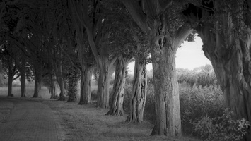 20190915-F5-Delta100-Vecht-107-bewerkt