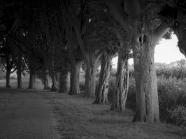 20190915-F5-Delta100-Vecht-108