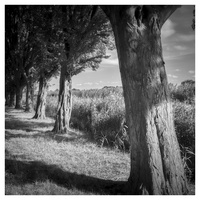 20190915-Vecht-119