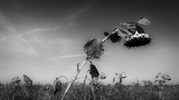 20190922-Groningen-126