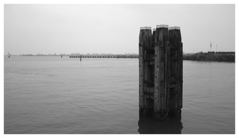 20190926-Thuijs-104