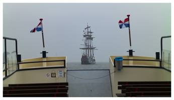 20190926-Thuijs-107