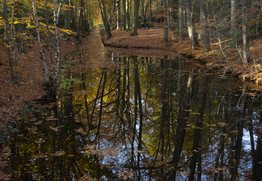 20191117-Corversbos-1002
