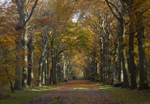 20191117-Corversbos-1010