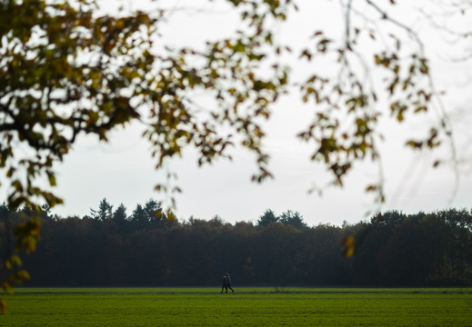 20191117-Corversbos-1020