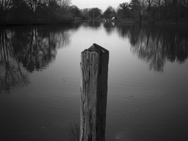 20191201-CE4S-Delta100-Vecht-113