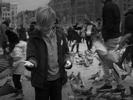 20191207-Amsterdam-1052