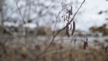 20191224-Loenen-1001