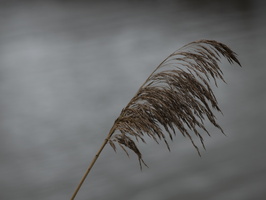 20191224-Loenen-1036