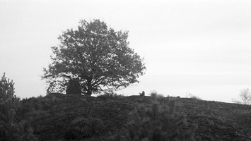 20191228-CanonP-FP4-Kootwijkerzand-108