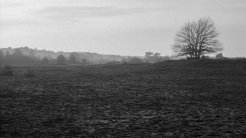 20191228-CanonP-FP4-Kootwijkerzand-111