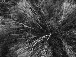 20191228-CanonP-FP4-Kootwijkerzand-113