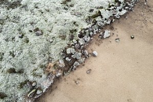 20191228-Q2-Kootwijkerzand-101