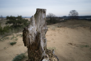 20191228-Q2-Kootwijkerzand-106