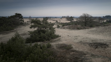 20191228-Q2-Kootwijkerzand-107