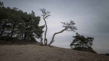 20191228-Q2-Kootwijkerzand-112
