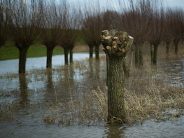 20200215-Lekdijk-112