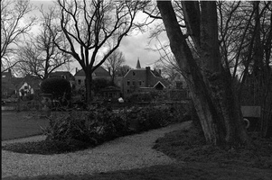 20200223-F2-Tmax400-50mm-Loenen112