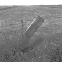 20200401-C220-Delta400-Divers-108