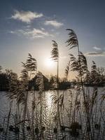20200118-Vecht--111