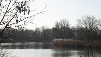 20200118-Vecht--133