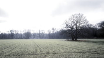 20200126-Q2-Corversbos-107