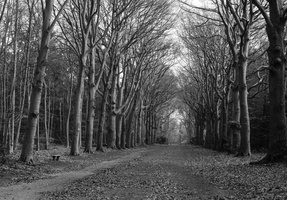 20200126-XD7-FP4-Corversbos-112