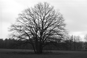 20200126-XD7-FP4-Corversbos-113