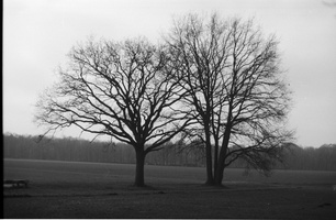 20200126-XD7-FP4-Corversbos-117