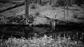 20200126-XD7-FP4-Corversbos-121