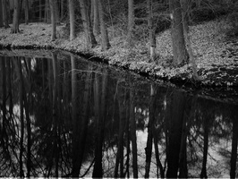 20200126-XD7-FP4-Corversbos-129
