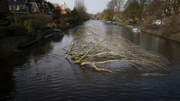 20200229-Amsterdam-104