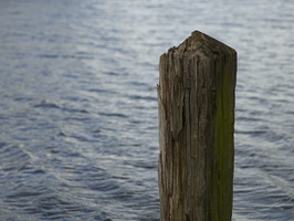 20200301-Vecht-125