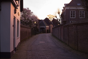 20200317-M240-Can55mm-Loenen-109