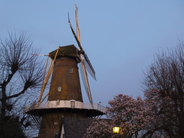 20200317-M240-Can55mm-Loenen-113