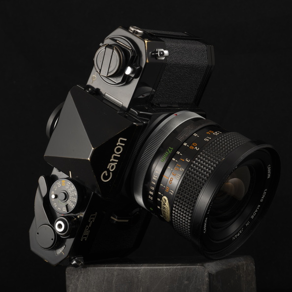 20200403-Canon-F1-17mm-FP4-Cameratest-110.jpg