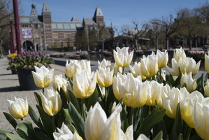 20200411-Q2-Amsterdam-169