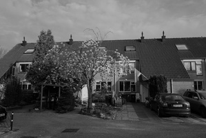 20200412-Q2-Loenen-101