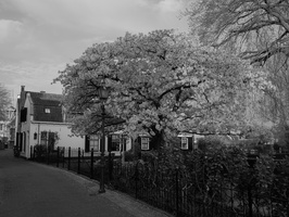 20200412-Q2-Loenen-111