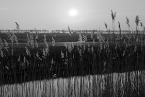 20200412-Q2-Loenen-127