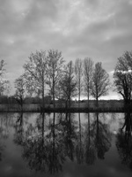 20200414-Q2-Vecht-117