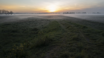 20200415-Q2-Loenen-102