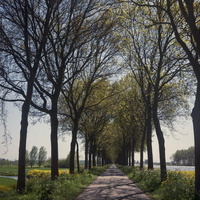 20200421-C220-Porta160-ARKanaal-102
