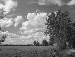 20200430-Vecht-205