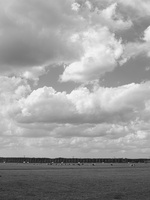 20200430-Vecht-209