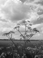 20200430-Vecht-210