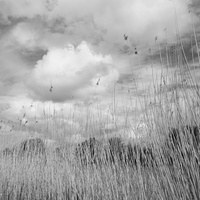20200501-Vecht-132