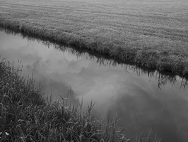20200503-Q2-Vecht-102