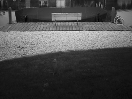 20200503-Q2-Vecht-107