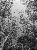 20200504-FM3a-28mm-FP4-Vecht-113